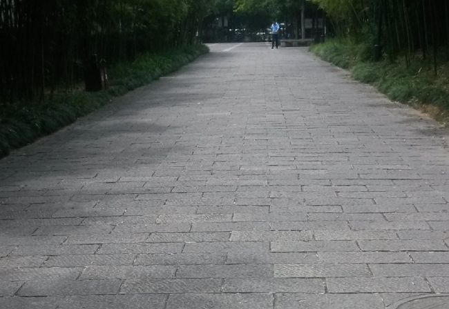 高湖石公園地板